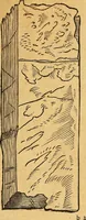 An illustration from Historia novi et admirabilis fontis balneique Bollensis in Ducatu Wirtembergico ad acidulas Goepingenses : mandato illustris. principis ac D.D. Frid. Ducis Vvirtemberg. et Teccensis. Comitis Montisbelig. &c. ac Equ. Ord. Reg. Gall. ad subditorum omniumqu[e] vicinorum & exterorum emolumentum ob vires insignes adornati, (1598)