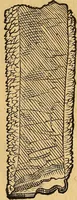 Picture 23 of 257 from Historia novi et admirabilis fontis balneique Bollensis in Ducatu Wirtembergico ad acidulas Goepingenses : mandato illustris. principis ac D.D. Frid. Ducis Vvirtemberg. et Teccensis. Comitis Montisbelig. &c. ac Equ. Ord. Reg. Gall. ad subditorum omniumqu[e] vicinorum & exterorum emolumentum ob vires insignes adornati, (1598), leaf 356