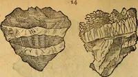 Picture 27 of 257 from Historia novi et admirabilis fontis balneique Bollensis in Ducatu Wirtembergico ad acidulas Goepingenses : mandato illustris. principis ac D.D. Frid. Ducis Vvirtemberg. et Teccensis. Comitis Montisbelig. &c. ac Equ. Ord. Reg. Gall. ad subditorum omniumqu[e] vicinorum & exterorum emolumentum ob vires insignes adornati, (1598), leaf 359