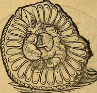 An illustration from Historia novi et admirabilis fontis balneique Bollensis in Ducatu Wirtembergico ad acidulas Goepingenses : mandato illustris. principis ac D.D. Frid. Ducis Vvirtemberg. et Teccensis. Comitis Montisbelig. &c. ac Equ. Ord. Reg. Gall. ad subditorum omniumqu[e] vicinorum & exterorum emolumentum ob vires insignes adornati, (1598)