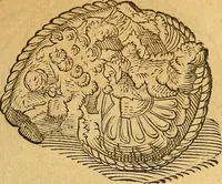 Picture 34 of 257 from Historia novi et admirabilis fontis balneique Bollensis in Ducatu Wirtembergico ad acidulas Goepingenses : mandato illustris. principis ac D.D. Frid. Ducis Vvirtemberg. et Teccensis. Comitis Montisbelig. &c. ac Equ. Ord. Reg. Gall. ad subditorum omniumqu[e] vicinorum & exterorum emolumentum ob vires insignes adornati, (1598), leaf 362
