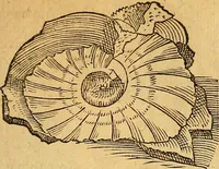 Picture 38 of 257 from Historia novi et admirabilis fontis balneique Bollensis in Ducatu Wirtembergico ad acidulas Goepingenses : mandato illustris. principis ac D.D. Frid. Ducis Vvirtemberg. et Teccensis. Comitis Montisbelig. &c. ac Equ. Ord. Reg. Gall. ad subditorum omniumqu[e] vicinorum & exterorum emolumentum ob vires insignes adornati, (1598), leaf 364