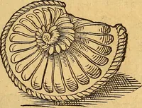 Picture 39 of 257 from Historia novi et admirabilis fontis balneique Bollensis in Ducatu Wirtembergico ad acidulas Goepingenses : mandato illustris. principis ac D.D. Frid. Ducis Vvirtemberg. et Teccensis. Comitis Montisbelig. &c. ac Equ. Ord. Reg. Gall. ad subditorum omniumqu[e] vicinorum & exterorum emolumentum ob vires insignes adornati, (1598), leaf 364