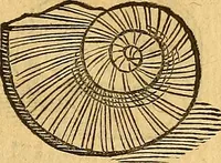 Picture 45 of 257 from Historia novi et admirabilis fontis balneique Bollensis in Ducatu Wirtembergico ad acidulas Goepingenses : mandato illustris. principis ac D.D. Frid. Ducis Vvirtemberg. et Teccensis. Comitis Montisbelig. &c. ac Equ. Ord. Reg. Gall. ad subditorum omniumqu[e] vicinorum & exterorum emolumentum ob vires insignes adornati, (1598), leaf 366