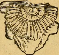 An illustration from Historia novi et admirabilis fontis balneique Bollensis in Ducatu Wirtembergico ad acidulas Goepingenses : mandato illustris. principis ac D.D. Frid. Ducis Vvirtemberg. et Teccensis. Comitis Montisbelig. &c. ac Equ. Ord. Reg. Gall. ad subditorum omniumqu[e] vicinorum & exterorum emolumentum ob vires insignes adornati, (1598)