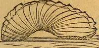 An illustration from Historia novi et admirabilis fontis balneique Bollensis in Ducatu Wirtembergico ad acidulas Goepingenses : mandato illustris. principis ac D.D. Frid. Ducis Vvirtemberg. et Teccensis. Comitis Montisbelig. &c. ac Equ. Ord. Reg. Gall. ad subditorum omniumqu[e] vicinorum & exterorum emolumentum ob vires insignes adornati, (1598)
