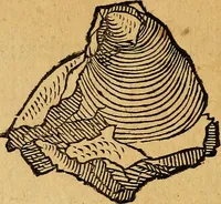An illustration from Historia novi et admirabilis fontis balneique Bollensis in Ducatu Wirtembergico ad acidulas Goepingenses : mandato illustris. principis ac D.D. Frid. Ducis Vvirtemberg. et Teccensis. Comitis Montisbelig. &c. ac Equ. Ord. Reg. Gall. ad subditorum omniumqu[e] vicinorum & exterorum emolumentum ob vires insignes adornati, (1598)
