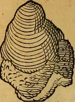 An illustration from Historia novi et admirabilis fontis balneique Bollensis in Ducatu Wirtembergico ad acidulas Goepingenses : mandato illustris. principis ac D.D. Frid. Ducis Vvirtemberg. et Teccensis. Comitis Montisbelig. &c. ac Equ. Ord. Reg. Gall. ad subditorum omniumqu[e] vicinorum & exterorum emolumentum ob vires insignes adornati, (1598)