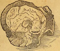 An illustration from Historia novi et admirabilis fontis balneique Bollensis in Ducatu Wirtembergico ad acidulas Goepingenses : mandato illustris. principis ac D.D. Frid. Ducis Vvirtemberg. et Teccensis. Comitis Montisbelig. &c. ac Equ. Ord. Reg. Gall. ad subditorum omniumqu[e] vicinorum & exterorum emolumentum ob vires insignes adornati, (1598)