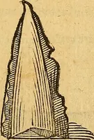 Picture 72 of 257 from Historia novi et admirabilis fontis balneique Bollensis in Ducatu Wirtembergico ad acidulas Goepingenses : mandato illustris. principis ac D.D. Frid. Ducis Vvirtemberg. et Teccensis. Comitis Montisbelig. &c. ac Equ. Ord. Reg. Gall. ad subditorum omniumqu[e] vicinorum & exterorum emolumentum ob vires insignes adornati, (1598), leaf 378