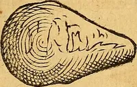Picture 75 of 257 from Historia novi et admirabilis fontis balneique Bollensis in Ducatu Wirtembergico ad acidulas Goepingenses : mandato illustris. principis ac D.D. Frid. Ducis Vvirtemberg. et Teccensis. Comitis Montisbelig. &c. ac Equ. Ord. Reg. Gall. ad subditorum omniumqu[e] vicinorum & exterorum emolumentum ob vires insignes adornati, (1598), leaf 380