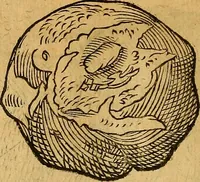 An illustration from Historia novi et admirabilis fontis balneique Bollensis in Ducatu Wirtembergico ad acidulas Goepingenses : mandato illustris. principis ac D.D. Frid. Ducis Vvirtemberg. et Teccensis. Comitis Montisbelig. &c. ac Equ. Ord. Reg. Gall. ad subditorum omniumqu[e] vicinorum & exterorum emolumentum ob vires insignes adornati, (1598)