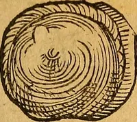 An illustration from Historia novi et admirabilis fontis balneique Bollensis in Ducatu Wirtembergico ad acidulas Goepingenses : mandato illustris. principis ac D.D. Frid. Ducis Vvirtemberg. et Teccensis. Comitis Montisbelig. &c. ac Equ. Ord. Reg. Gall. ad subditorum omniumqu[e] vicinorum & exterorum emolumentum ob vires insignes adornati, (1598)