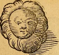 Picture 80 of 257 from Historia novi et admirabilis fontis balneique Bollensis in Ducatu Wirtembergico ad acidulas Goepingenses : mandato illustris. principis ac D.D. Frid. Ducis Vvirtemberg. et Teccensis. Comitis Montisbelig. &c. ac Equ. Ord. Reg. Gall. ad subditorum omniumqu[e] vicinorum & exterorum emolumentum ob vires insignes adornati, (1598), leaf 382