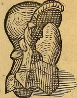 An illustration from Historia novi et admirabilis fontis balneique Bollensis in Ducatu Wirtembergico ad acidulas Goepingenses : mandato illustris. principis ac D.D. Frid. Ducis Vvirtemberg. et Teccensis. Comitis Montisbelig. &c. ac Equ. Ord. Reg. Gall. ad subditorum omniumqu[e] vicinorum & exterorum emolumentum ob vires insignes adornati, (1598)