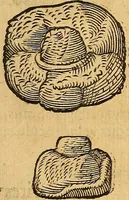 An illustration from Historia novi et admirabilis fontis balneique Bollensis in Ducatu Wirtembergico ad acidulas Goepingenses : mandato illustris. principis ac D.D. Frid. Ducis Vvirtemberg. et Teccensis. Comitis Montisbelig. &c. ac Equ. Ord. Reg. Gall. ad subditorum omniumqu[e] vicinorum & exterorum emolumentum ob vires insignes adornati, (1598)