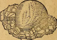 Picture 83 of 257 from Historia novi et admirabilis fontis balneique Bollensis in Ducatu Wirtembergico ad acidulas Goepingenses : mandato illustris. principis ac D.D. Frid. Ducis Vvirtemberg. et Teccensis. Comitis Montisbelig. &c. ac Equ. Ord. Reg. Gall. ad subditorum omniumqu[e] vicinorum & exterorum emolumentum ob vires insignes adornati, (1598), leaf 383