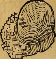 Picture 85 of 257 from Historia novi et admirabilis fontis balneique Bollensis in Ducatu Wirtembergico ad acidulas Goepingenses : mandato illustris. principis ac D.D. Frid. Ducis Vvirtemberg. et Teccensis. Comitis Montisbelig. &c. ac Equ. Ord. Reg. Gall. ad subditorum omniumqu[e] vicinorum & exterorum emolumentum ob vires insignes adornati, (1598), leaf 383