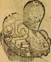 An illustration from Historia novi et admirabilis fontis balneique Bollensis in Ducatu Wirtembergico ad acidulas Goepingenses : mandato illustris. principis ac D.D. Frid. Ducis Vvirtemberg. et Teccensis. Comitis Montisbelig. &c. ac Equ. Ord. Reg. Gall. ad subditorum omniumqu[e] vicinorum & exterorum emolumentum ob vires insignes adornati, (1598)