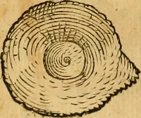 An illustration from Historia novi et admirabilis fontis balneique Bollensis in Ducatu Wirtembergico ad acidulas Goepingenses : mandato illustris. principis ac D.D. Frid. Ducis Vvirtemberg. et Teccensis. Comitis Montisbelig. &c. ac Equ. Ord. Reg. Gall. ad subditorum omniumqu[e] vicinorum & exterorum emolumentum ob vires insignes adornati, (1598)