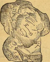 An illustration from Historia novi et admirabilis fontis balneique Bollensis in Ducatu Wirtembergico ad acidulas Goepingenses : mandato illustris. principis ac D.D. Frid. Ducis Vvirtemberg. et Teccensis. Comitis Montisbelig. &c. ac Equ. Ord. Reg. Gall. ad subditorum omniumqu[e] vicinorum & exterorum emolumentum ob vires insignes adornati, (1598)