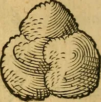 An illustration from Historia novi et admirabilis fontis balneique Bollensis in Ducatu Wirtembergico ad acidulas Goepingenses : mandato illustris. principis ac D.D. Frid. Ducis Vvirtemberg. et Teccensis. Comitis Montisbelig. &c. ac Equ. Ord. Reg. Gall. ad subditorum omniumqu[e] vicinorum & exterorum emolumentum ob vires insignes adornati, (1598)