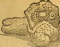 An illustration from Historia novi et admirabilis fontis balneique Bollensis in Ducatu Wirtembergico ad acidulas Goepingenses : mandato illustris. principis ac D.D. Frid. Ducis Vvirtemberg. et Teccensis. Comitis Montisbelig. &c. ac Equ. Ord. Reg. Gall. ad subditorum omniumqu[e] vicinorum & exterorum emolumentum ob vires insignes adornati, (1598)