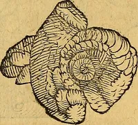 An illustration from Historia novi et admirabilis fontis balneique Bollensis in Ducatu Wirtembergico ad acidulas Goepingenses : mandato illustris. principis ac D.D. Frid. Ducis Vvirtemberg. et Teccensis. Comitis Montisbelig. &c. ac Equ. Ord. Reg. Gall. ad subditorum omniumqu[e] vicinorum & exterorum emolumentum ob vires insignes adornati, (1598)
