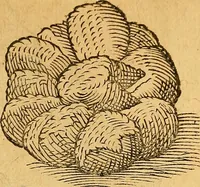 An illustration from Historia novi et admirabilis fontis balneique Bollensis in Ducatu Wirtembergico ad acidulas Goepingenses : mandato illustris. principis ac D.D. Frid. Ducis Vvirtemberg. et Teccensis. Comitis Montisbelig. &c. ac Equ. Ord. Reg. Gall. ad subditorum omniumqu[e] vicinorum & exterorum emolumentum ob vires insignes adornati, (1598)