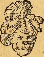 Picture 107 of 257 from Historia novi et admirabilis fontis balneique Bollensis in Ducatu Wirtembergico ad acidulas Goepingenses : mandato illustris. principis ac D.D. Frid. Ducis Vvirtemberg. et Teccensis. Comitis Montisbelig. &c. ac Equ. Ord. Reg. Gall. ad subditorum omniumqu[e] vicinorum & exterorum emolumentum ob vires insignes adornati, (1598), leaf 388