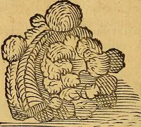 Picture 111 of 257 from Historia novi et admirabilis fontis balneique Bollensis in Ducatu Wirtembergico ad acidulas Goepingenses : mandato illustris. principis ac D.D. Frid. Ducis Vvirtemberg. et Teccensis. Comitis Montisbelig. &c. ac Equ. Ord. Reg. Gall. ad subditorum omniumqu[e] vicinorum & exterorum emolumentum ob vires insignes adornati, (1598), leaf 389