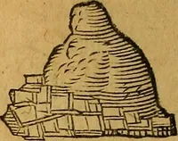 Picture 115 of 257 from Historia novi et admirabilis fontis balneique Bollensis in Ducatu Wirtembergico ad acidulas Goepingenses : mandato illustris. principis ac D.D. Frid. Ducis Vvirtemberg. et Teccensis. Comitis Montisbelig. &c. ac Equ. Ord. Reg. Gall. ad subditorum omniumqu[e] vicinorum & exterorum emolumentum ob vires insignes adornati, (1598), leaf 391