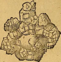 An illustration from Historia novi et admirabilis fontis balneique Bollensis in Ducatu Wirtembergico ad acidulas Goepingenses : mandato illustris. principis ac D.D. Frid. Ducis Vvirtemberg. et Teccensis. Comitis Montisbelig. &c. ac Equ. Ord. Reg. Gall. ad subditorum omniumqu[e] vicinorum & exterorum emolumentum ob vires insignes adornati, (1598)