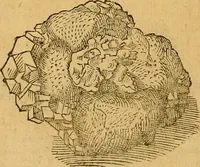 An illustration from Historia novi et admirabilis fontis balneique Bollensis in Ducatu Wirtembergico ad acidulas Goepingenses : mandato illustris. principis ac D.D. Frid. Ducis Vvirtemberg. et Teccensis. Comitis Montisbelig. &c. ac Equ. Ord. Reg. Gall. ad subditorum omniumqu[e] vicinorum & exterorum emolumentum ob vires insignes adornati, (1598)