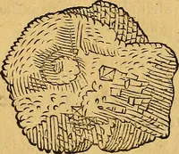 Picture 122 of 257 from Historia novi et admirabilis fontis balneique Bollensis in Ducatu Wirtembergico ad acidulas Goepingenses : mandato illustris. principis ac D.D. Frid. Ducis Vvirtemberg. et Teccensis. Comitis Montisbelig. &c. ac Equ. Ord. Reg. Gall. ad subditorum omniumqu[e] vicinorum & exterorum emolumentum ob vires insignes adornati, (1598), leaf 393