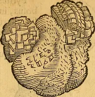 Picture 125 of 257 from Historia novi et admirabilis fontis balneique Bollensis in Ducatu Wirtembergico ad acidulas Goepingenses : mandato illustris. principis ac D.D. Frid. Ducis Vvirtemberg. et Teccensis. Comitis Montisbelig. &c. ac Equ. Ord. Reg. Gall. ad subditorum omniumqu[e] vicinorum & exterorum emolumentum ob vires insignes adornati, (1598), leaf 394