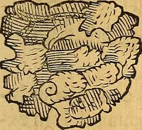 An illustration from Historia novi et admirabilis fontis balneique Bollensis in Ducatu Wirtembergico ad acidulas Goepingenses : mandato illustris. principis ac D.D. Frid. Ducis Vvirtemberg. et Teccensis. Comitis Montisbelig. &c. ac Equ. Ord. Reg. Gall. ad subditorum omniumqu[e] vicinorum & exterorum emolumentum ob vires insignes adornati, (1598)