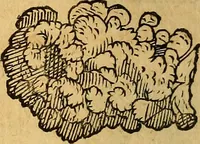 An illustration from Historia novi et admirabilis fontis balneique Bollensis in Ducatu Wirtembergico ad acidulas Goepingenses : mandato illustris. principis ac D.D. Frid. Ducis Vvirtemberg. et Teccensis. Comitis Montisbelig. &c. ac Equ. Ord. Reg. Gall. ad subditorum omniumqu[e] vicinorum & exterorum emolumentum ob vires insignes adornati, (1598)
