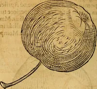 An illustration from Historia novi et admirabilis fontis balneique Bollensis in Ducatu Wirtembergico ad acidulas Goepingenses : mandato illustris. principis ac D.D. Frid. Ducis Vvirtemberg. et Teccensis. Comitis Montisbelig. &c. ac Equ. Ord. Reg. Gall. ad subditorum omniumqu[e] vicinorum & exterorum emolumentum ob vires insignes adornati, (1598)