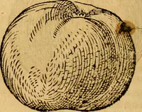 Picture 199 of 257 from Historia novi et admirabilis fontis balneique Bollensis in Ducatu Wirtembergico ad acidulas Goepingenses : mandato illustris. principis ac D.D. Frid. Ducis Vvirtemberg. et Teccensis. Comitis Montisbelig. &c. ac Equ. Ord. Reg. Gall. ad subditorum omniumqu[e] vicinorum & exterorum emolumentum ob vires insignes adornati, (1598), leaf 445