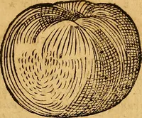 Picture 200 of 257 from Historia novi et admirabilis fontis balneique Bollensis in Ducatu Wirtembergico ad acidulas Goepingenses : mandato illustris. principis ac D.D. Frid. Ducis Vvirtemberg. et Teccensis. Comitis Montisbelig. &c. ac Equ. Ord. Reg. Gall. ad subditorum omniumqu[e] vicinorum & exterorum emolumentum ob vires insignes adornati, (1598), leaf 446