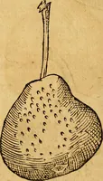 Picture 204 of 257 from Historia novi et admirabilis fontis balneique Bollensis in Ducatu Wirtembergico ad acidulas Goepingenses : mandato illustris. principis ac D.D. Frid. Ducis Vvirtemberg. et Teccensis. Comitis Montisbelig. &c. ac Equ. Ord. Reg. Gall. ad subditorum omniumqu[e] vicinorum & exterorum emolumentum ob vires insignes adornati, (1598), leaf 449