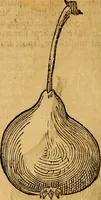 Picture 206 of 257 from Historia novi et admirabilis fontis balneique Bollensis in Ducatu Wirtembergico ad acidulas Goepingenses : mandato illustris. principis ac D.D. Frid. Ducis Vvirtemberg. et Teccensis. Comitis Montisbelig. &c. ac Equ. Ord. Reg. Gall. ad subditorum omniumqu[e] vicinorum & exterorum emolumentum ob vires insignes adornati, (1598), leaf 451