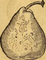 Picture 215 of 257 from Historia novi et admirabilis fontis balneique Bollensis in Ducatu Wirtembergico ad acidulas Goepingenses : mandato illustris. principis ac D.D. Frid. Ducis Vvirtemberg. et Teccensis. Comitis Montisbelig. &c. ac Equ. Ord. Reg. Gall. ad subditorum omniumqu[e] vicinorum & exterorum emolumentum ob vires insignes adornati, (1598), leaf 460
