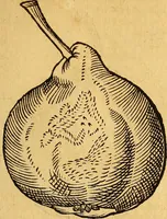 An illustration from Historia novi et admirabilis fontis balneique Bollensis in Ducatu Wirtembergico ad acidulas Goepingenses : mandato illustris. principis ac D.D. Frid. Ducis Vvirtemberg. et Teccensis. Comitis Montisbelig. &c. ac Equ. Ord. Reg. Gall. ad subditorum omniumqu[e] vicinorum & exterorum emolumentum ob vires insignes adornati, (1598)