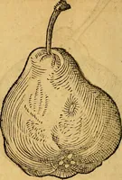 An illustration from Historia novi et admirabilis fontis balneique Bollensis in Ducatu Wirtembergico ad acidulas Goepingenses : mandato illustris. principis ac D.D. Frid. Ducis Vvirtemberg. et Teccensis. Comitis Montisbelig. &c. ac Equ. Ord. Reg. Gall. ad subditorum omniumqu[e] vicinorum & exterorum emolumentum ob vires insignes adornati, (1598)