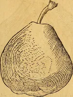 An illustration from Historia novi et admirabilis fontis balneique Bollensis in Ducatu Wirtembergico ad acidulas Goepingenses : mandato illustris. principis ac D.D. Frid. Ducis Vvirtemberg. et Teccensis. Comitis Montisbelig. &c. ac Equ. Ord. Reg. Gall. ad subditorum omniumqu[e] vicinorum & exterorum emolumentum ob vires insignes adornati, (1598)