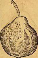 Picture 221 of 257 from Historia novi et admirabilis fontis balneique Bollensis in Ducatu Wirtembergico ad acidulas Goepingenses : mandato illustris. principis ac D.D. Frid. Ducis Vvirtemberg. et Teccensis. Comitis Montisbelig. &c. ac Equ. Ord. Reg. Gall. ad subditorum omniumqu[e] vicinorum & exterorum emolumentum ob vires insignes adornati, (1598), leaf 466