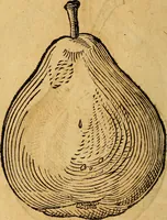 Picture 222 of 257 from Historia novi et admirabilis fontis balneique Bollensis in Ducatu Wirtembergico ad acidulas Goepingenses : mandato illustris. principis ac D.D. Frid. Ducis Vvirtemberg. et Teccensis. Comitis Montisbelig. &c. ac Equ. Ord. Reg. Gall. ad subditorum omniumqu[e] vicinorum & exterorum emolumentum ob vires insignes adornati, (1598), leaf 467