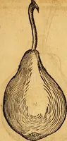 Picture 223 of 257 from Historia novi et admirabilis fontis balneique Bollensis in Ducatu Wirtembergico ad acidulas Goepingenses : mandato illustris. principis ac D.D. Frid. Ducis Vvirtemberg. et Teccensis. Comitis Montisbelig. &c. ac Equ. Ord. Reg. Gall. ad subditorum omniumqu[e] vicinorum & exterorum emolumentum ob vires insignes adornati, (1598), leaf 468
